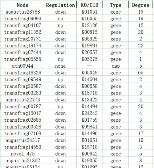 KGML Network Node Attributes Table